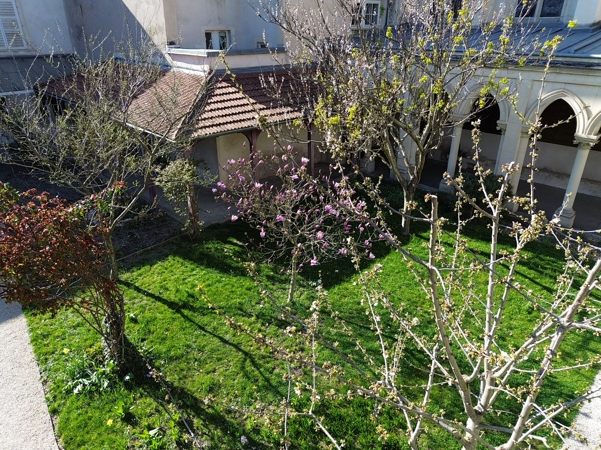 DCIMPANORAMA100_0302DJI