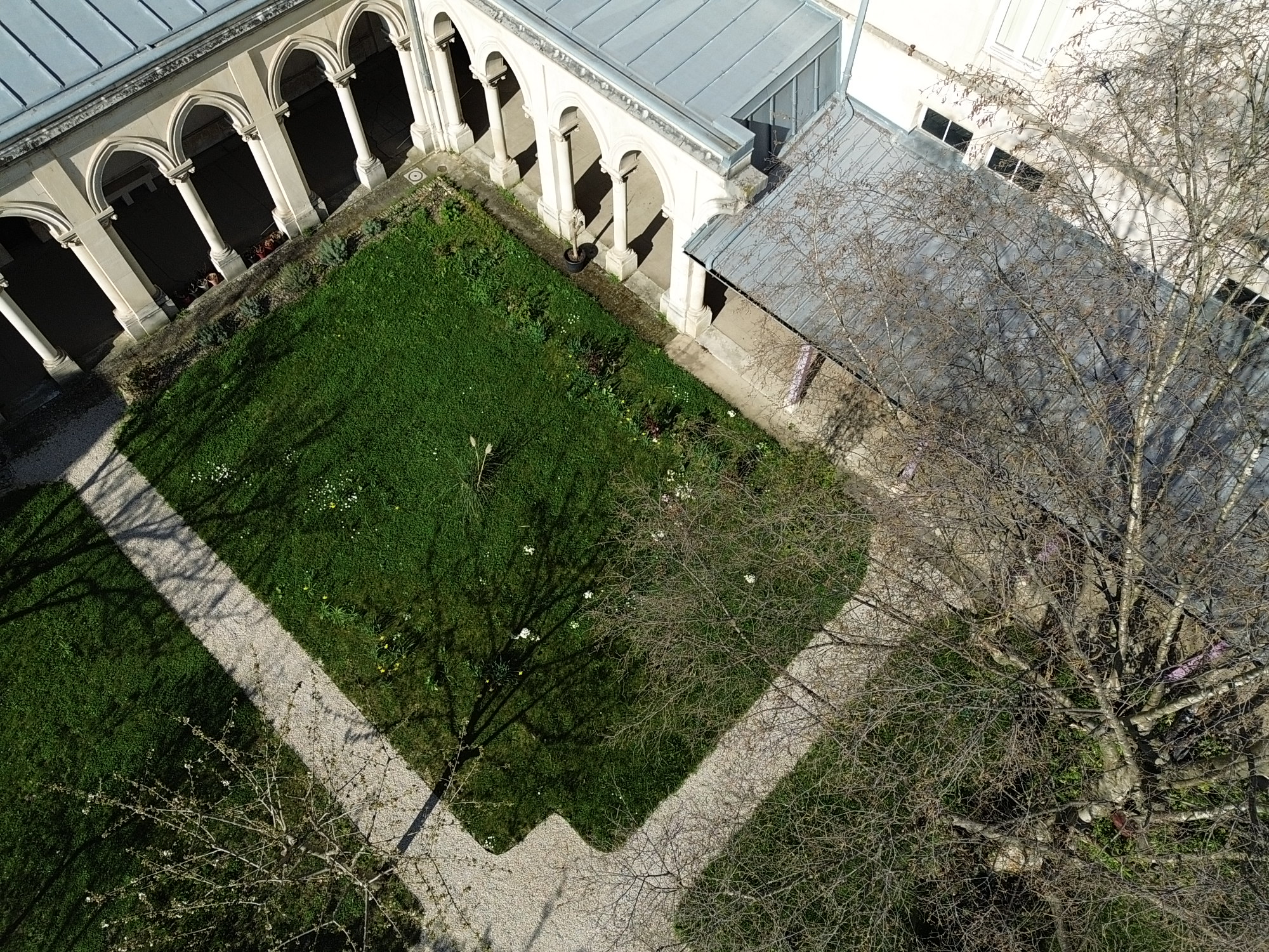 DCIMPANORAMA100_0301DJI